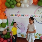 foto-256332